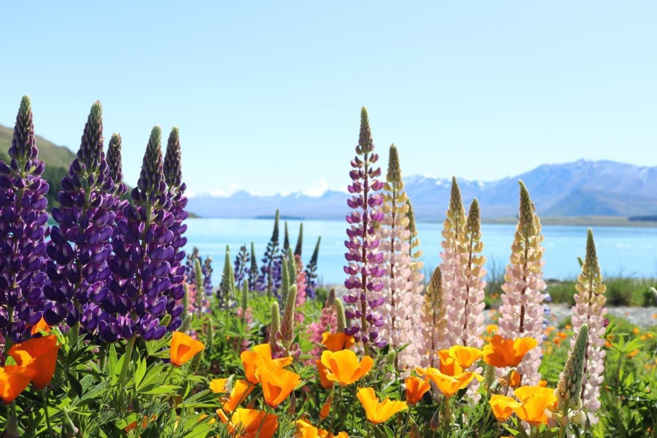 Mt Sefton Villa Lake Tekapo Exterior photo